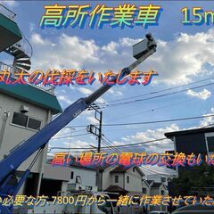 15メーター以下の枝払いをいたします 高い場所のアンテナ交換*電...