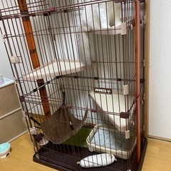 3段ケージの画像