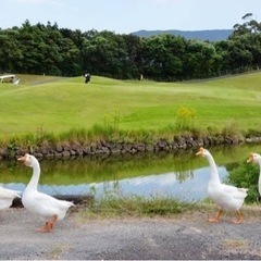 ゆるゴルの会(千葉周辺)