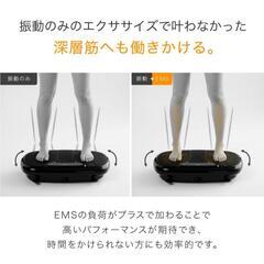 EMSマシン　定価39000円 の画像