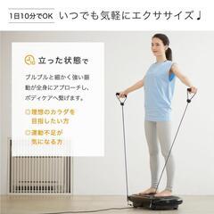 EMSマシン　定価39000円 の画像