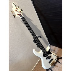 アクティブベース G-BB-60 SW ESP Grass rootsの画像