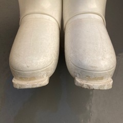 [無料]子供用スキーブーツ 24cmの画像