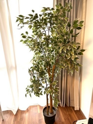 IKEA フェイクグリーン　観葉植物　ベンジャミン