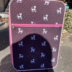 キャリーケース　猫柄