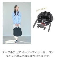 カトージ テーブルチェア イージーフィット(収納袋付き) の画像