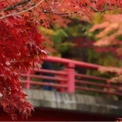 都内で写活📸