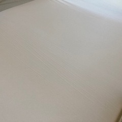 【決まりました】トゥルースリーパー　シングルサイズの画像