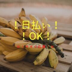 ◆学歴不問・履歴書不要・未経験歓迎◆送迎ドライバー！Wワーク歓迎♪1日4時間◎日払い制度など勢揃い◇【nk】A13K0422-6(3)の画像