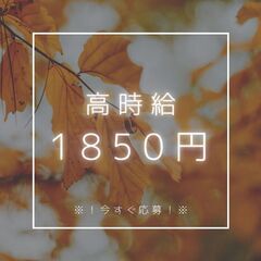 ◆学歴不問・履歴書不要・未経験歓迎◆送迎ドライバー！Wワーク歓迎...
