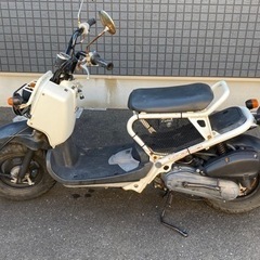 HONDA ズーマー50cc
