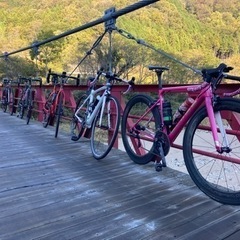 スポーツ自転車　持たれている方　始めたい方向け
