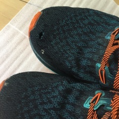 NIKE ズームペガサス36の画像