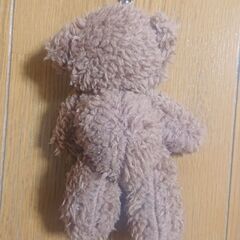 熊 ぬいぐるみ◎の画像