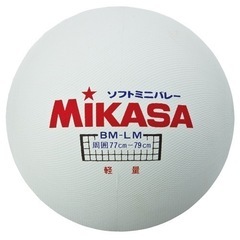 ミニバレーチームに入りたいです
