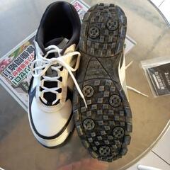 ゴルフの靴👟の画像