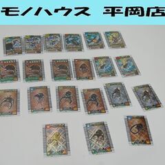 まとめて 昆虫王者ムシキング 21枚セット コーカサスオオカブト...