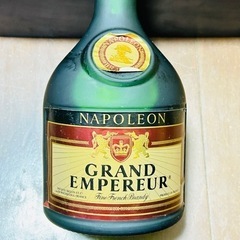105 【残2】RAYNAL NAPOLEON レイネル ナポレオン ブランデー特級 40度 700mlの画像