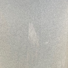ゾウリムシ（無調整豆乳培養）の画像