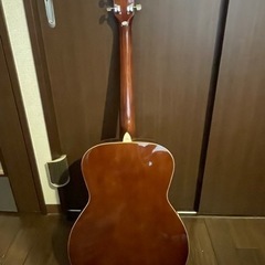 HONEY BEE アコースティックギター F-15/TSの画像