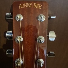 HONEY BEE アコースティックギター F-15/TSの画像