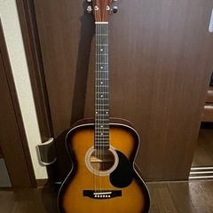 HONEY BEE アコースティックギター F-15/TSの画像
