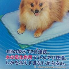 横須賀🆗ドギーマンひんやりボードの画像