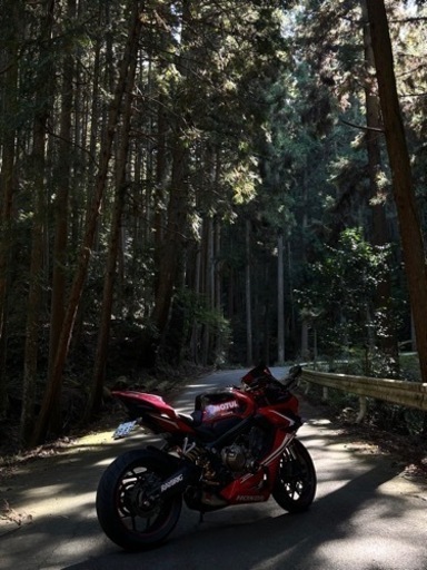 ホンダhonda cbr650r カスタム多数 (林) 大阪のその他の中古車