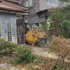 不要な木を無料で伐採します − 秋田県