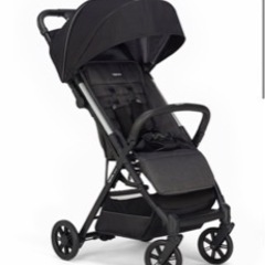 新品未使用⭐︎イングリッシーナ　クイッド2