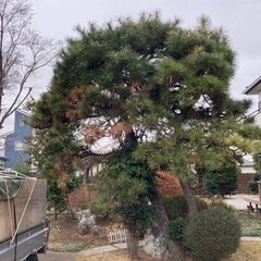 造園、植木屋 - 横浜市