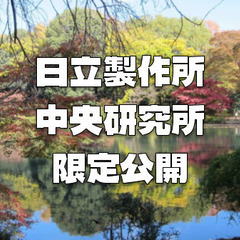 【特別公開日】日立製作所中央研究所の庭園で紅葉散歩を楽しみます！近くの殿ヶ谷戸庭園も♪の画像