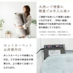 山善　ラグ　カーペット205×245 （受け渡し者決定）の画像