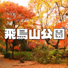 飛鳥山公園、音無親水公園、王子神社、名主の滝公園、展望台など王子...