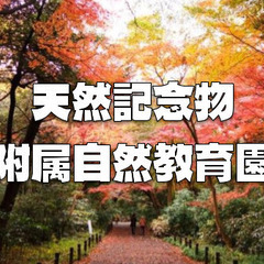 白金台にある園内全域が天然記念物の「自然教育園」で贅沢な紅葉散歩...
