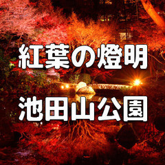 夜間限定公開とライトアップ！高級住宅街にある紅葉が美しい池泉回遊...