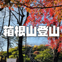 新宿にある都心最高峰の「箱根山」登山と歴史散策と紅葉散歩を楽しみます♪