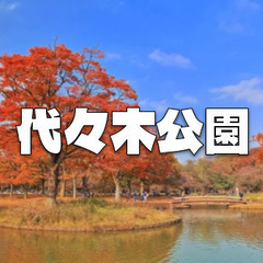 代々木公園で紅葉散歩を楽しみます！史跡巡りも軽くします♪