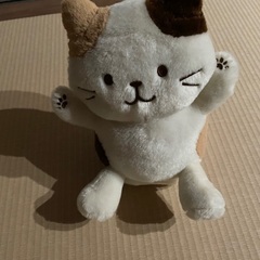 ぴょんぴょん真似っこ猫の画像