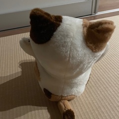 ぴょんぴょん真似っこ猫の画像