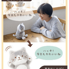 ぴょんぴょん真似っこ猫の画像