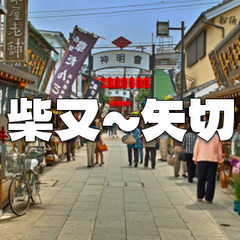 柴又帝釈天で食べ歩き＆年末詣＆全国に名を馳せた「矢切の渡し」に乗...