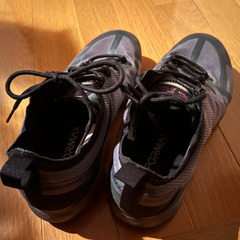 ナイキ ヴェイパーマックスの画像