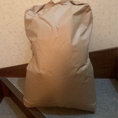 今年度 新米 ななつぼし 30kg 