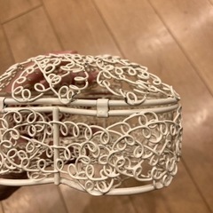 ワイヤー製　小物入れの画像