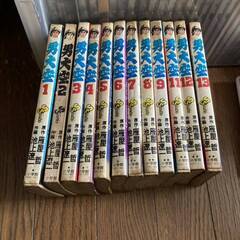 漫画 コミック 小学館 12冊セット 男大空 池上遼一