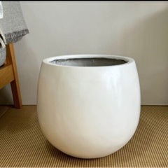  受け渡し者確定しました。の画像