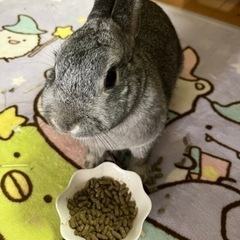 女友達作りたい💕女性ならではの悩みや愚痴を語り合う🥰