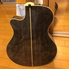 YAMAHA APX-10TSの画像