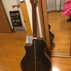 YAMAHA APX-10TSの画像